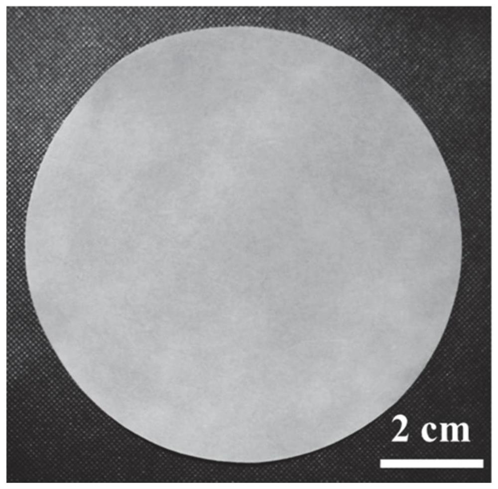 A kind of superhydrophobic oil-water separation paper with high separation flux and antibacterial and mildew resistance and preparation method thereof