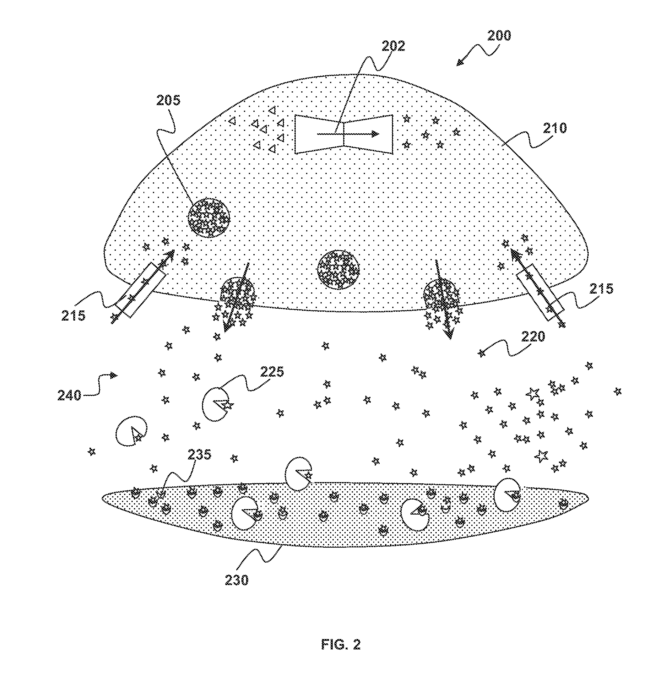 Framework for the organization of neural assemblies