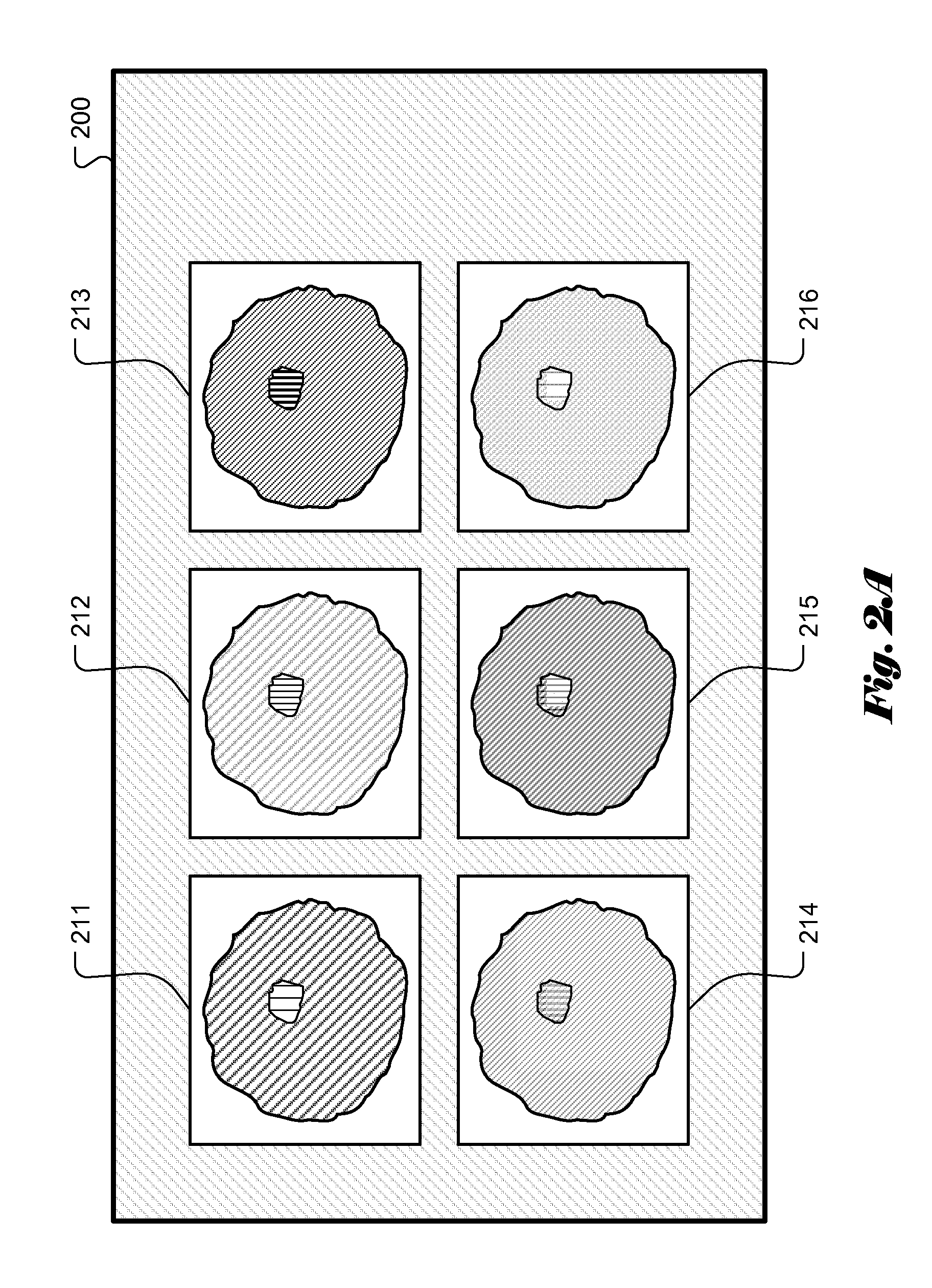 System and Method for Multiple Viewing-Window Display of Computed Spectral Images