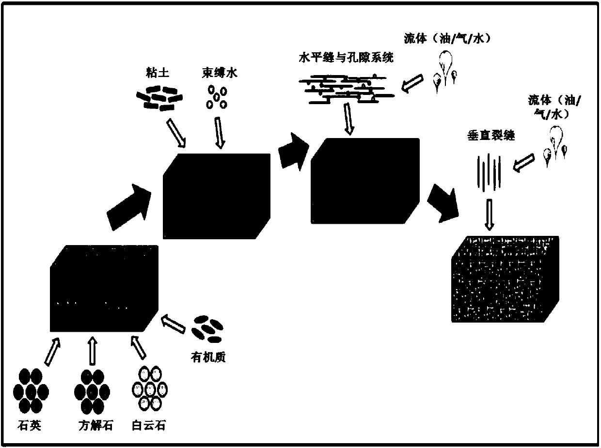 Shale horizontal bedding fracture density seismic prediction method