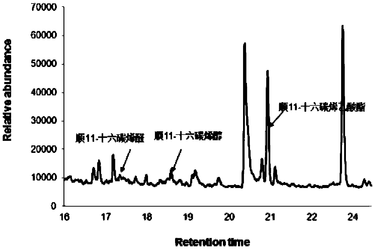 Sex pheromone composition of orthaga olivacea warre and lure core thereof