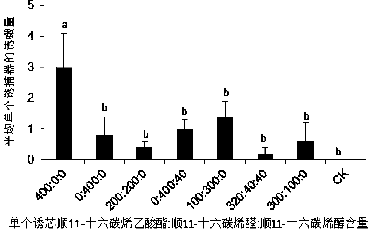 Sex pheromone composition of orthaga olivacea warre and lure core thereof