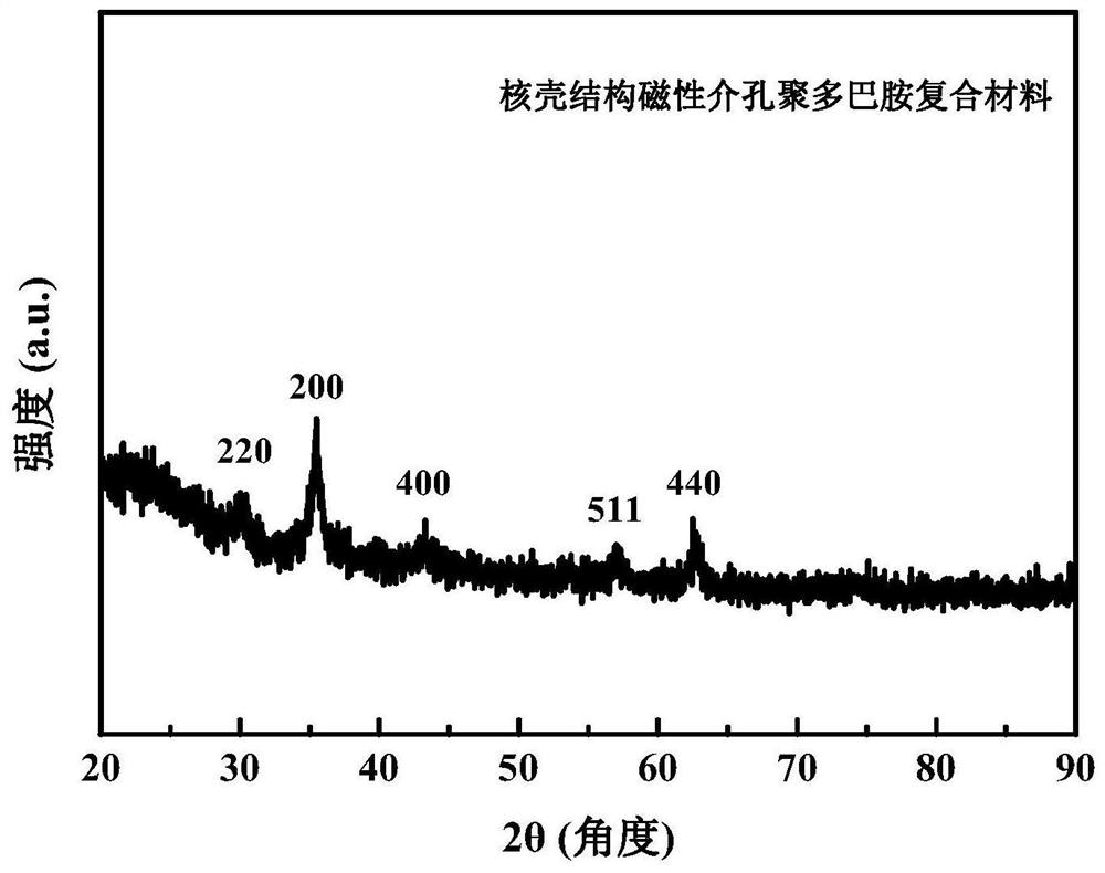 Magnetic mesoporous polydopamine composite material with core-shell structure as well as preparation method and application of magnetic mesoporous polydopamine composite material