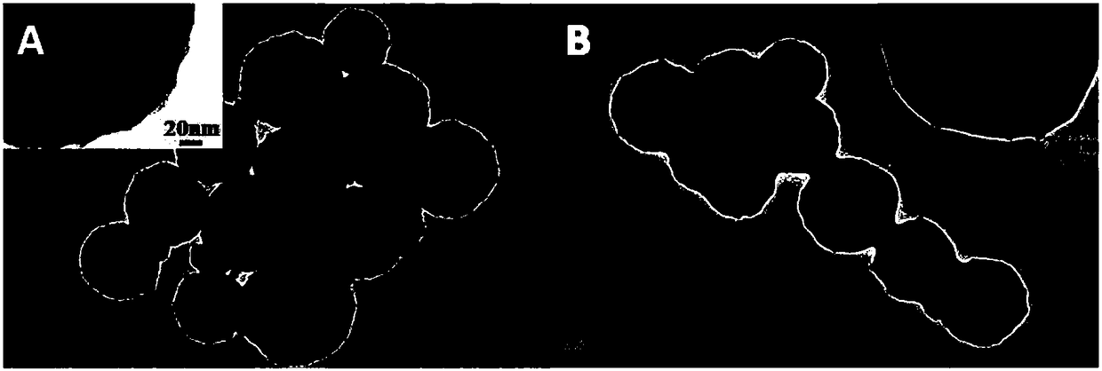 Magnetic nano-sphere grafted with arginine polymer brush, and preparation method and application thereof