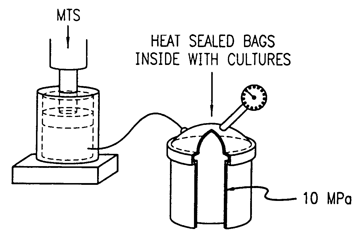 Method for in vivo, ex vivo and in vitro repair and regeneration of cartilage and collagen and bone remodeling