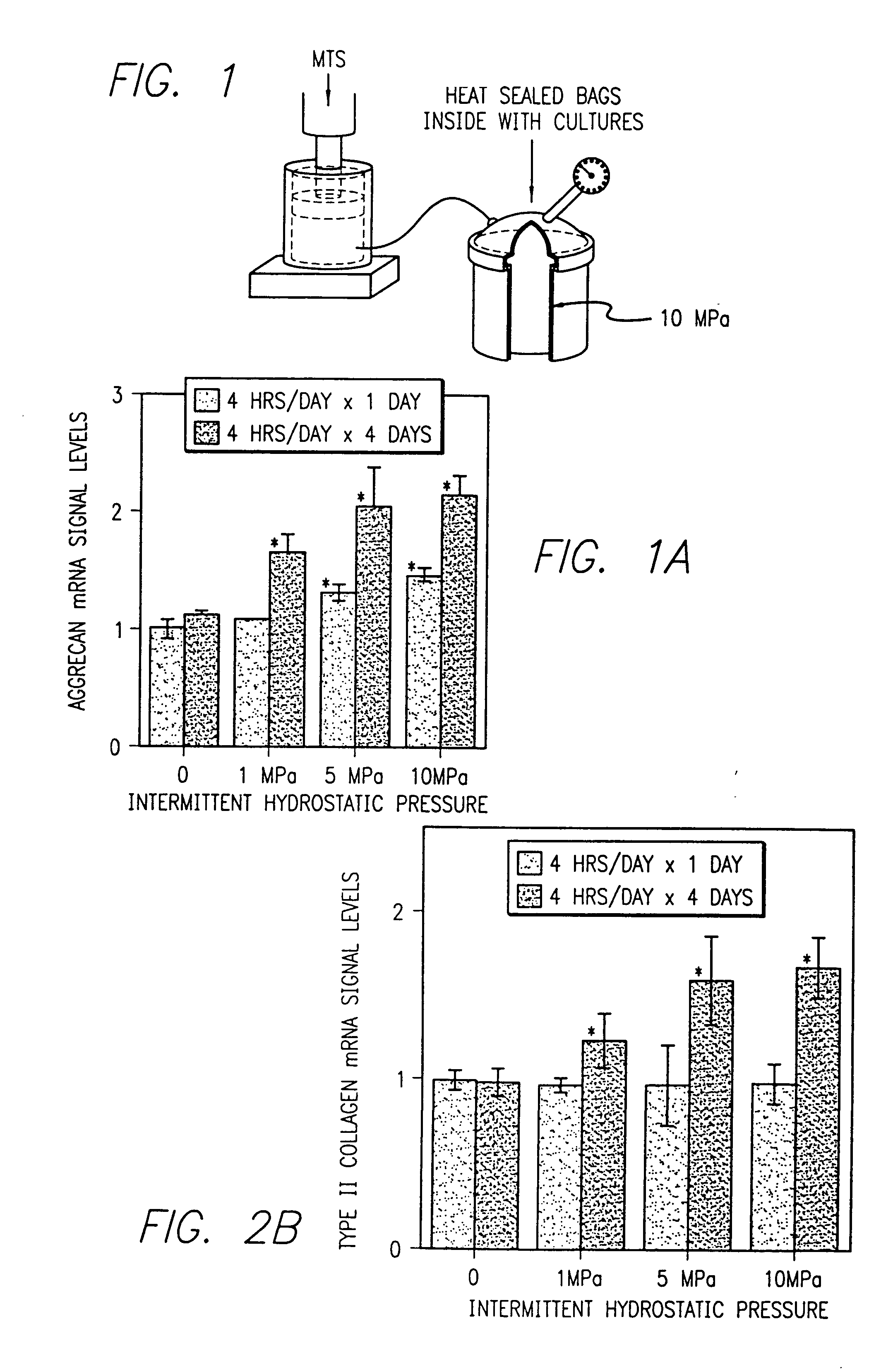 Method for in vivo, ex vivo and in vitro repair and regeneration of cartilage and collagen and bone remodeling