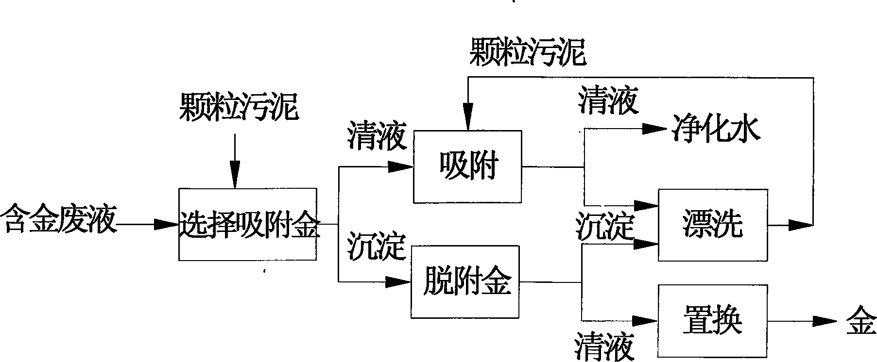 Breeding method for sludge in granules, and method for retreaving gold from waste liquor of containing gold by using the breeding method