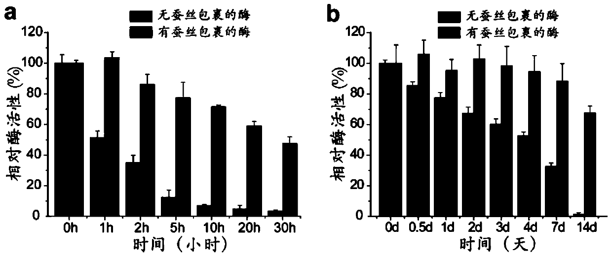 A kind of preparation method and application of the silk nano ball of encapsulation enzyme