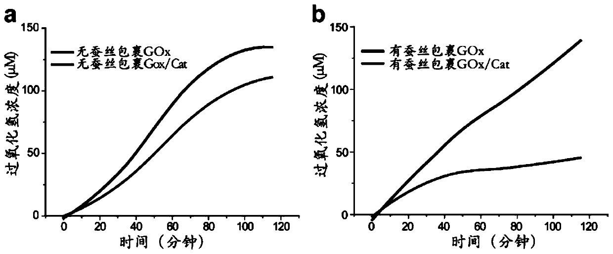 A kind of preparation method and application of the silk nano ball of encapsulation enzyme