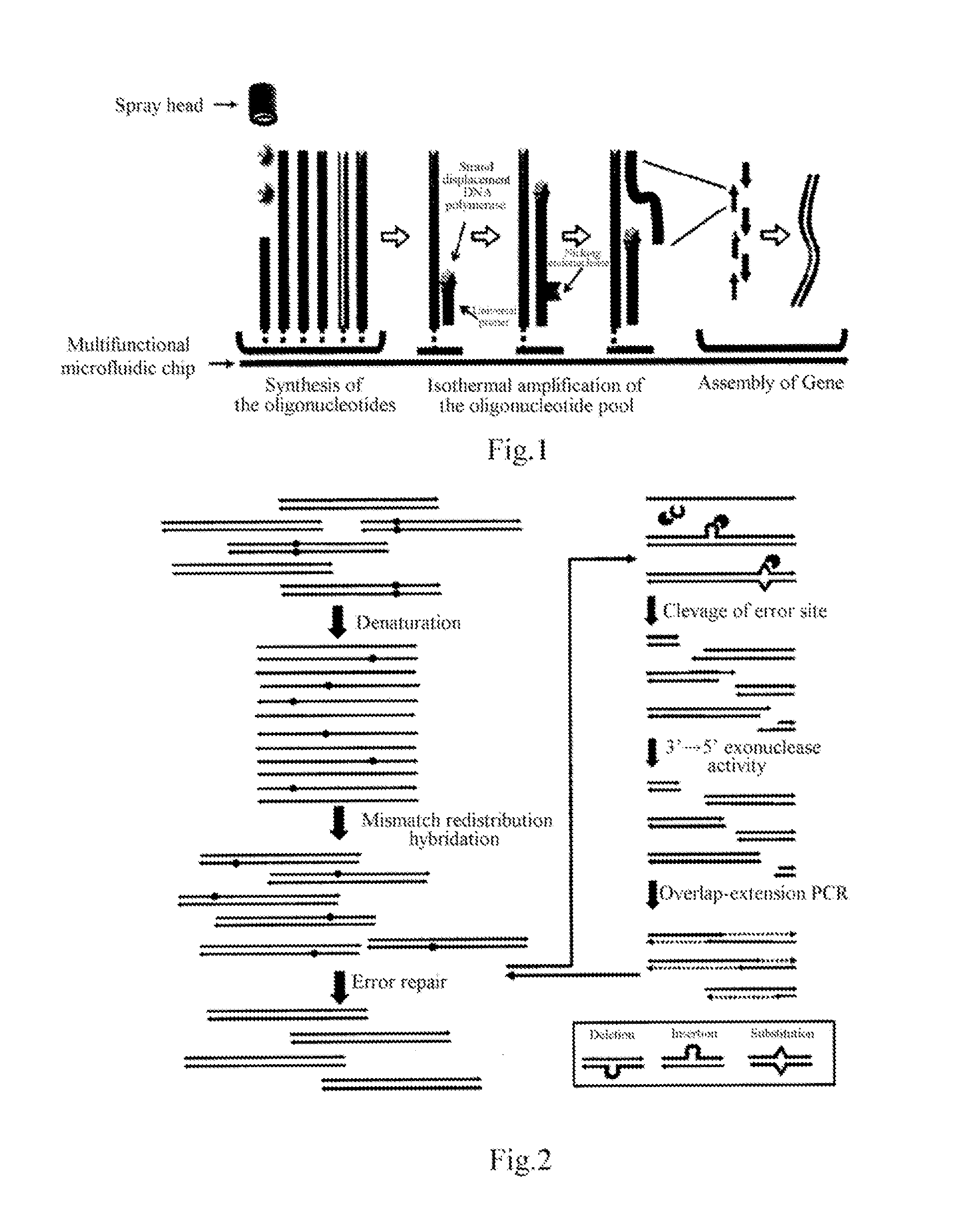 Gene synthesis process, gene chip and kit