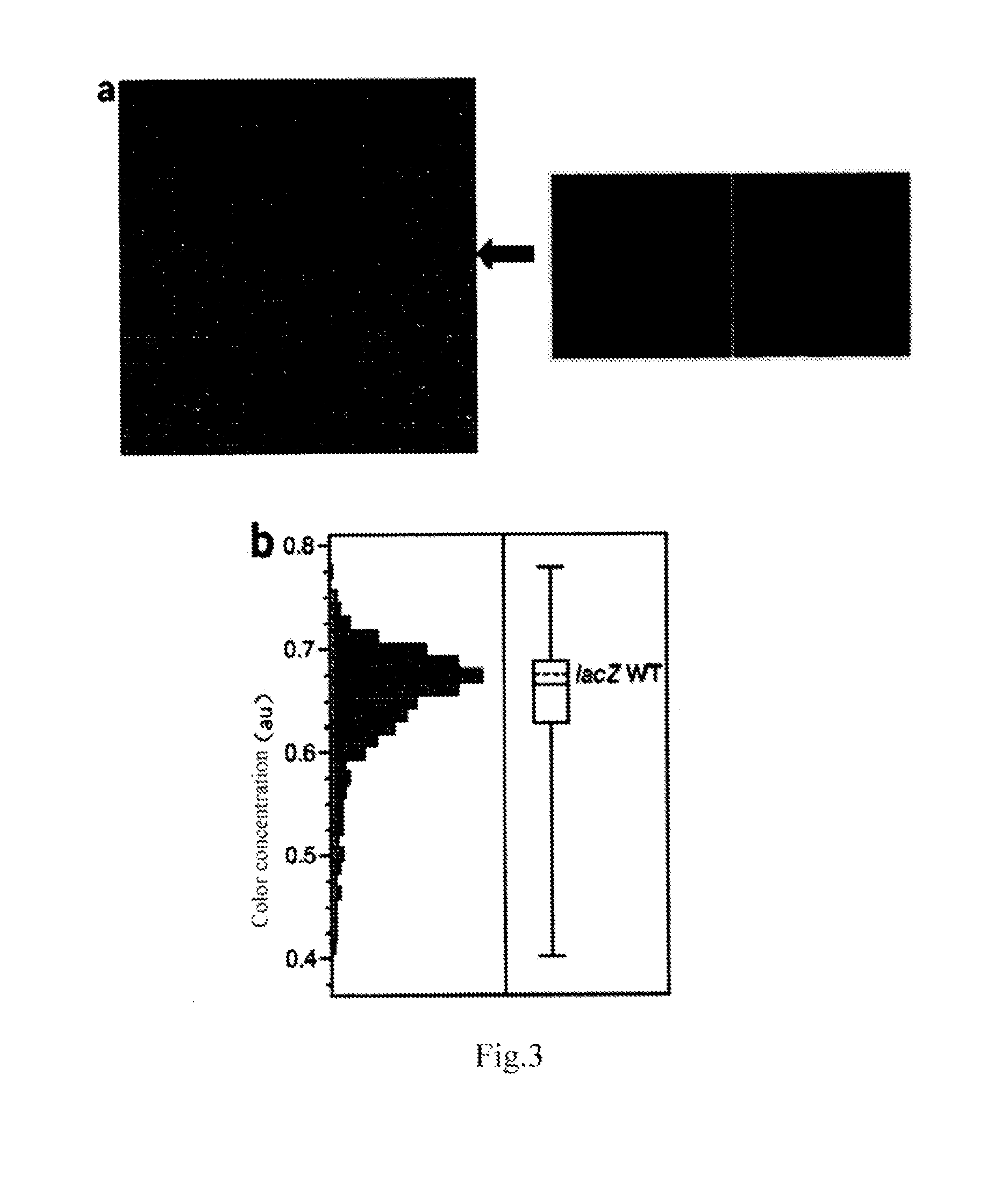 Gene synthesis process, gene chip and kit