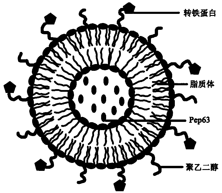 A nanocomposite with therapeutic effect on Alzheimer's disease, and preparation method and application thereof