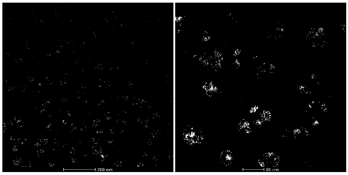 A nanocomposite with therapeutic effect on Alzheimer's disease, and preparation method and application thereof