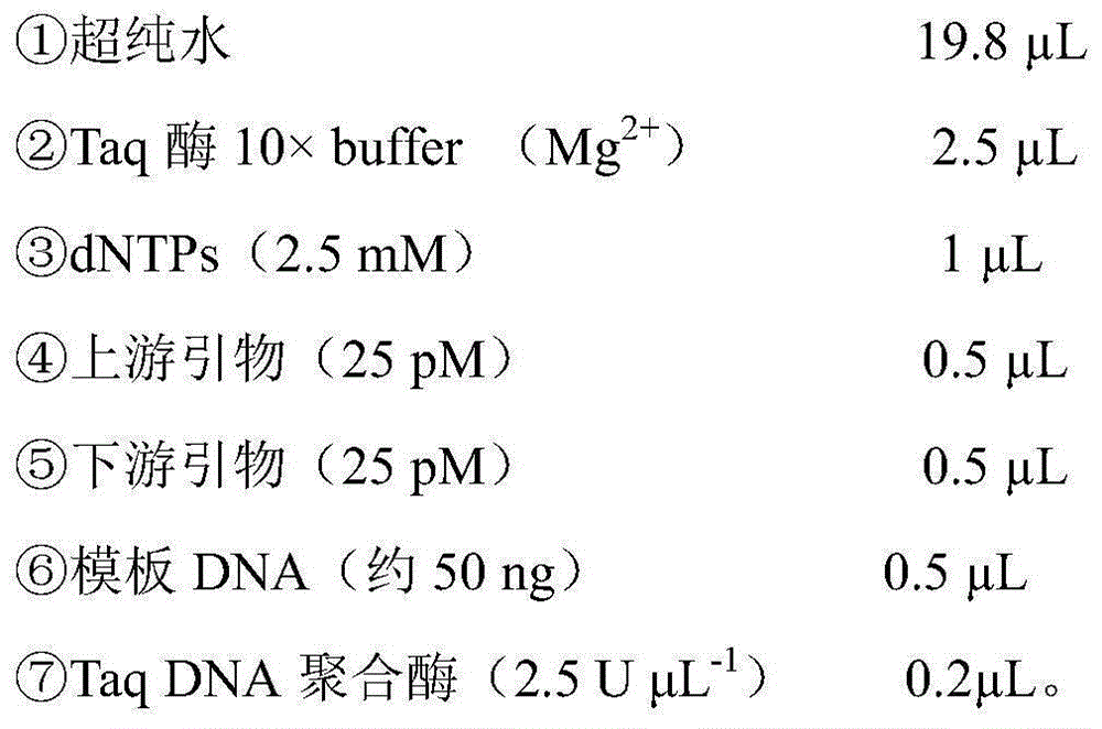 Molecular marker for identifying amur sturgeon germplasm and application of molecular marker