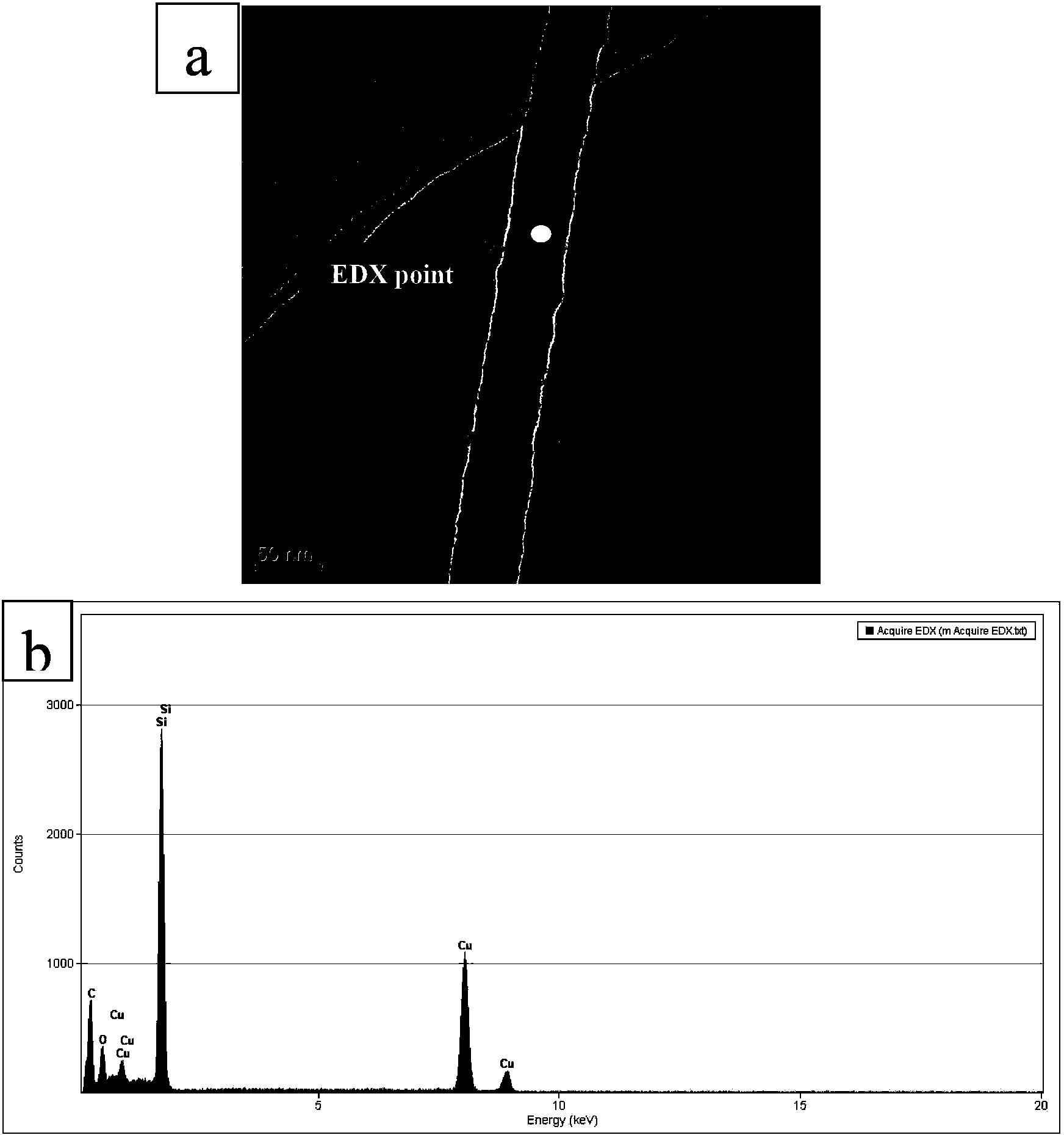 Method for manufacturing coaxial silicon carbide/silicon dioxide nanocable with chemical vapor deposition method