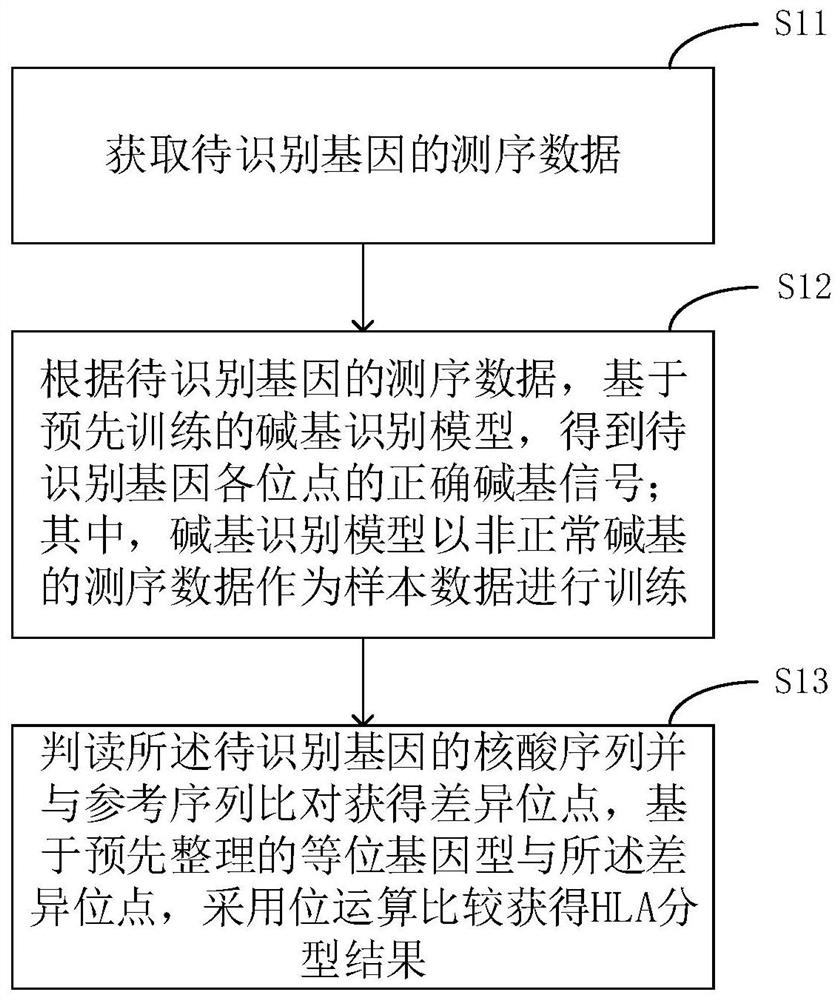 HLA typing method and equipment based on Sanger sequencing