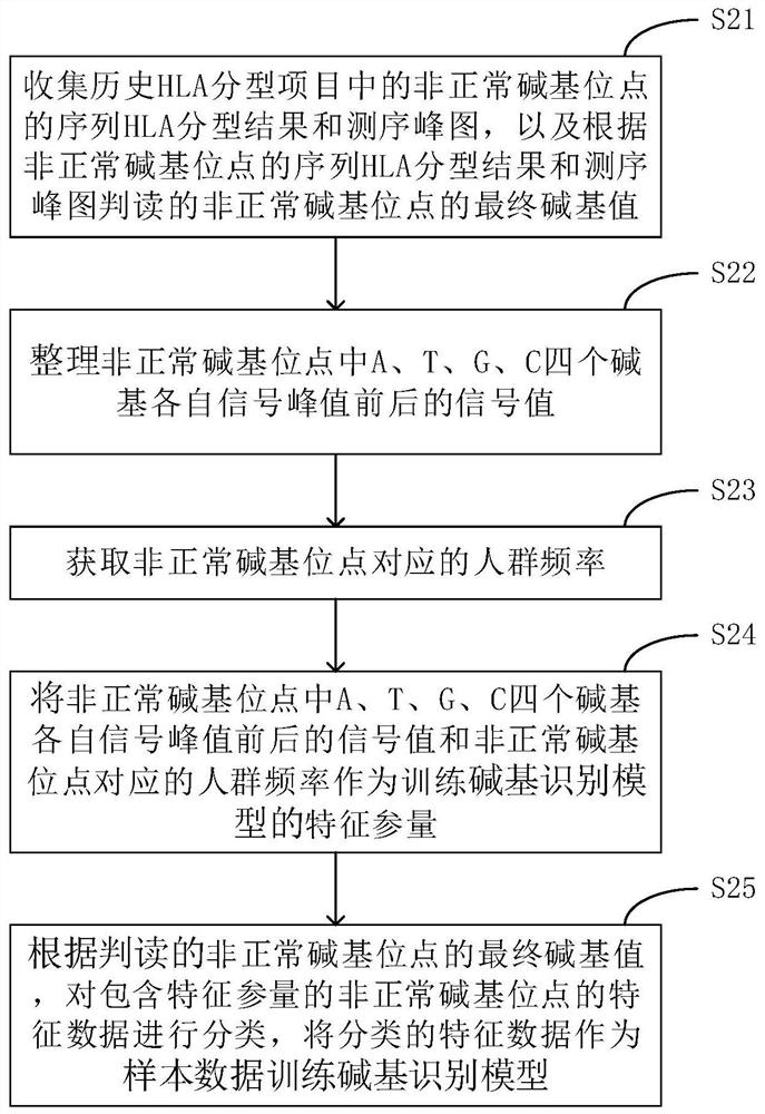 HLA typing method and equipment based on Sanger sequencing