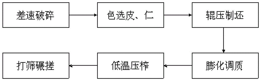 Process for manufacturing oil by cold-squeezing of rape seeds