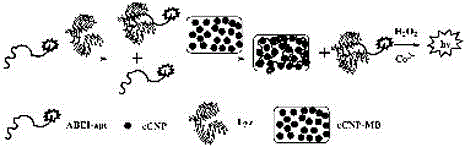 A method for the determination of lysozyme based on the interaction between carboxylated carbon nanoparticles and DNA