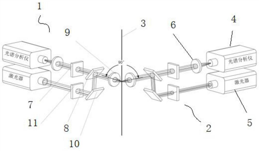 Two-channel spectrum detection device for capillary electrophoresis