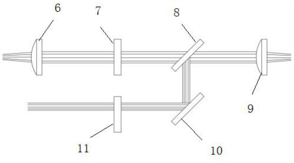 Two-channel spectrum detection device for capillary electrophoresis