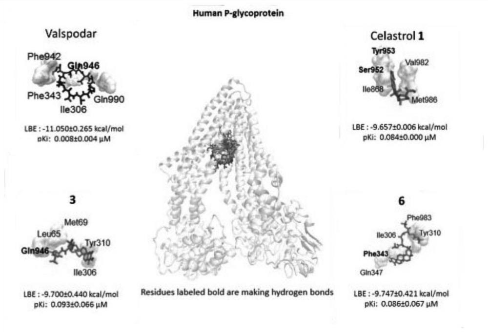 A kind of tripterine derivative and its preparation method and application