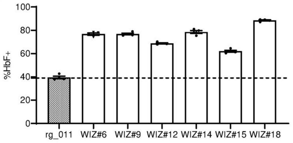 3-(5-methoxy-1-oxoisoindoline-2-yl) piperidine-2, 6-diketone derivative and application thereof