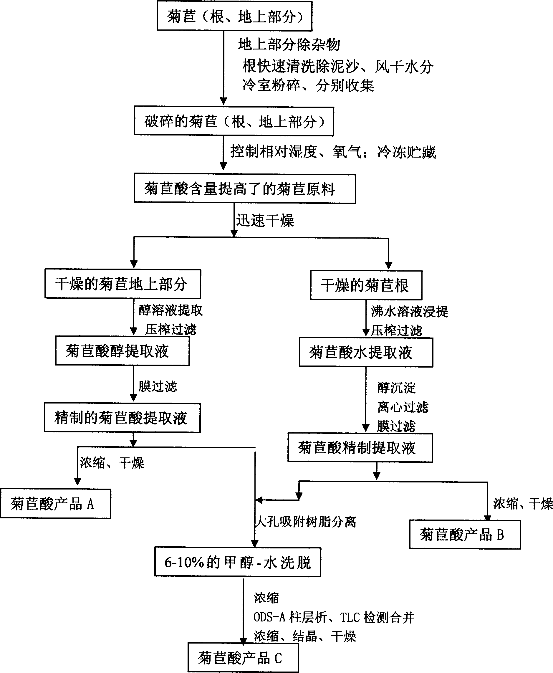 Technique for preparing chicoric acid by using chicory