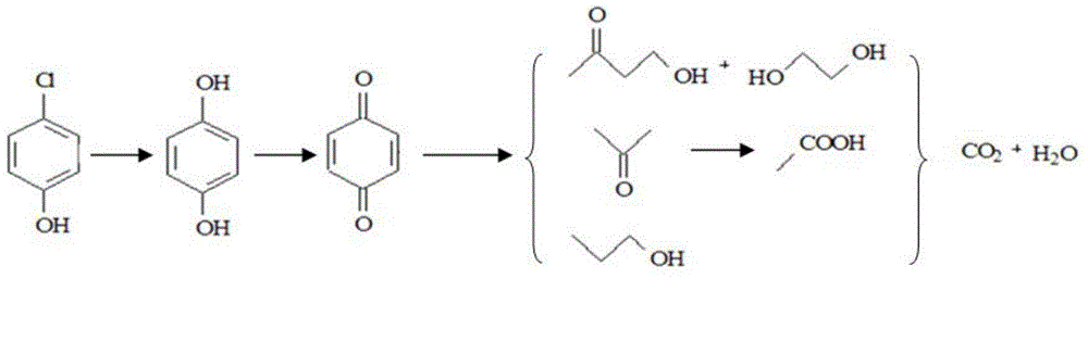 Method and device for removing insoluble organic matters in water