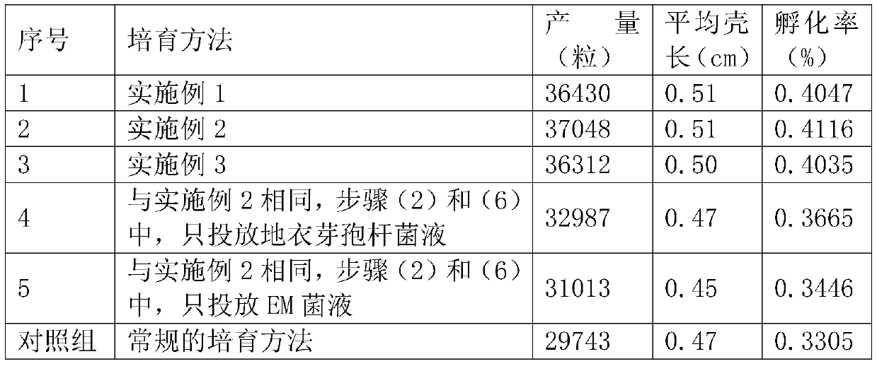 Cultivation method for tripnenstes gratilla larvae