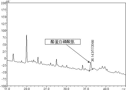 Liquid-phase detection method for casein phosphopeptides in milk