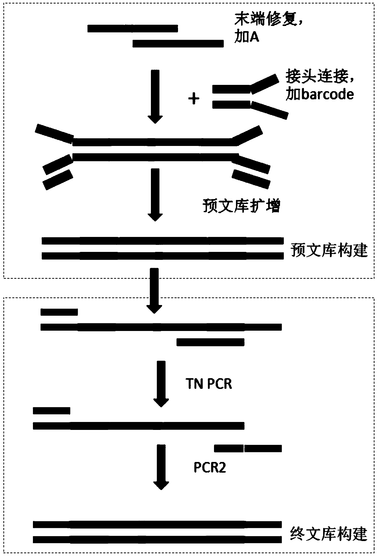 Kit for assistant diagnosis or screening of bladder cancer and application thereof