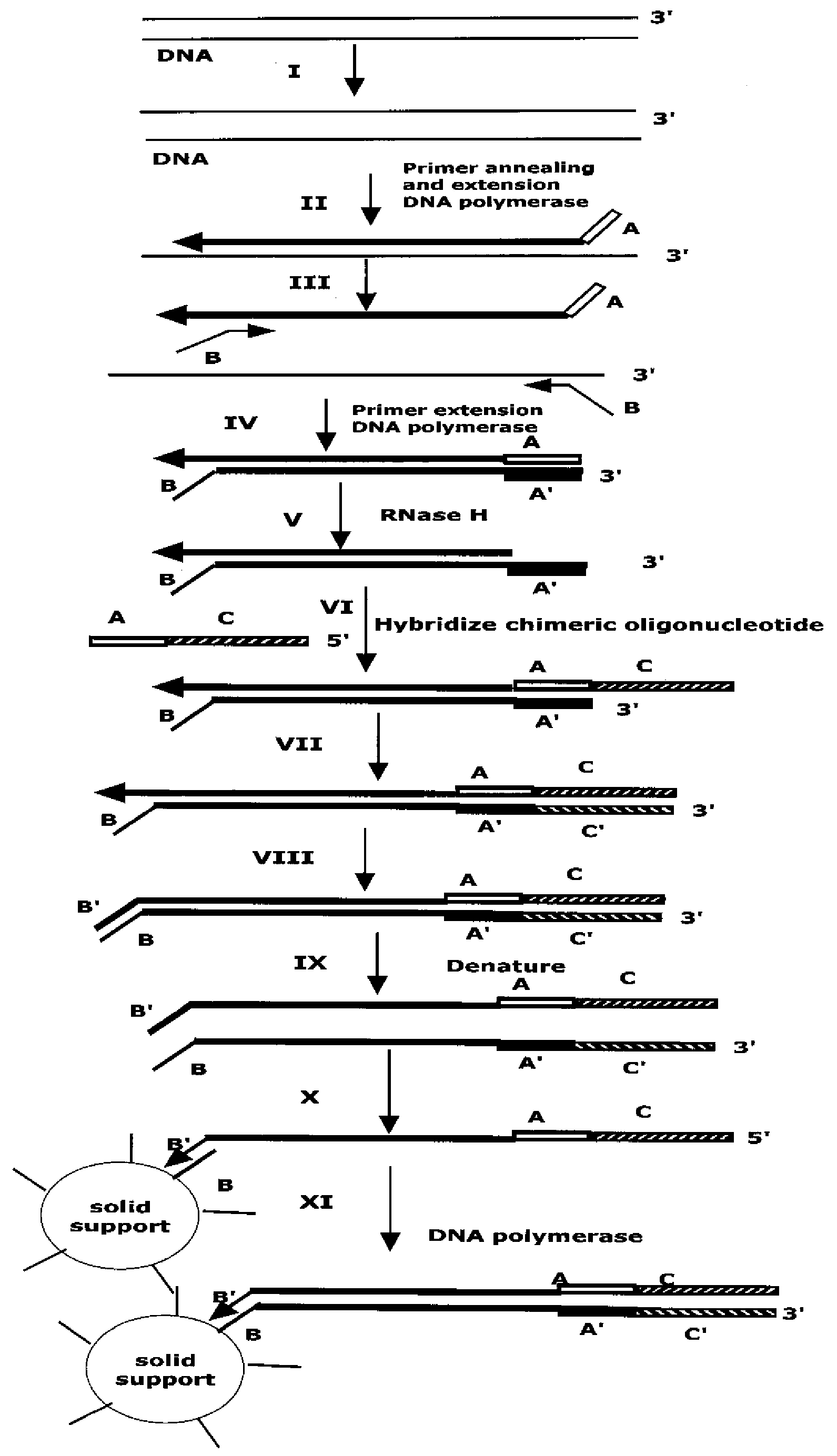 Method for Archiving and Clonal Expansion