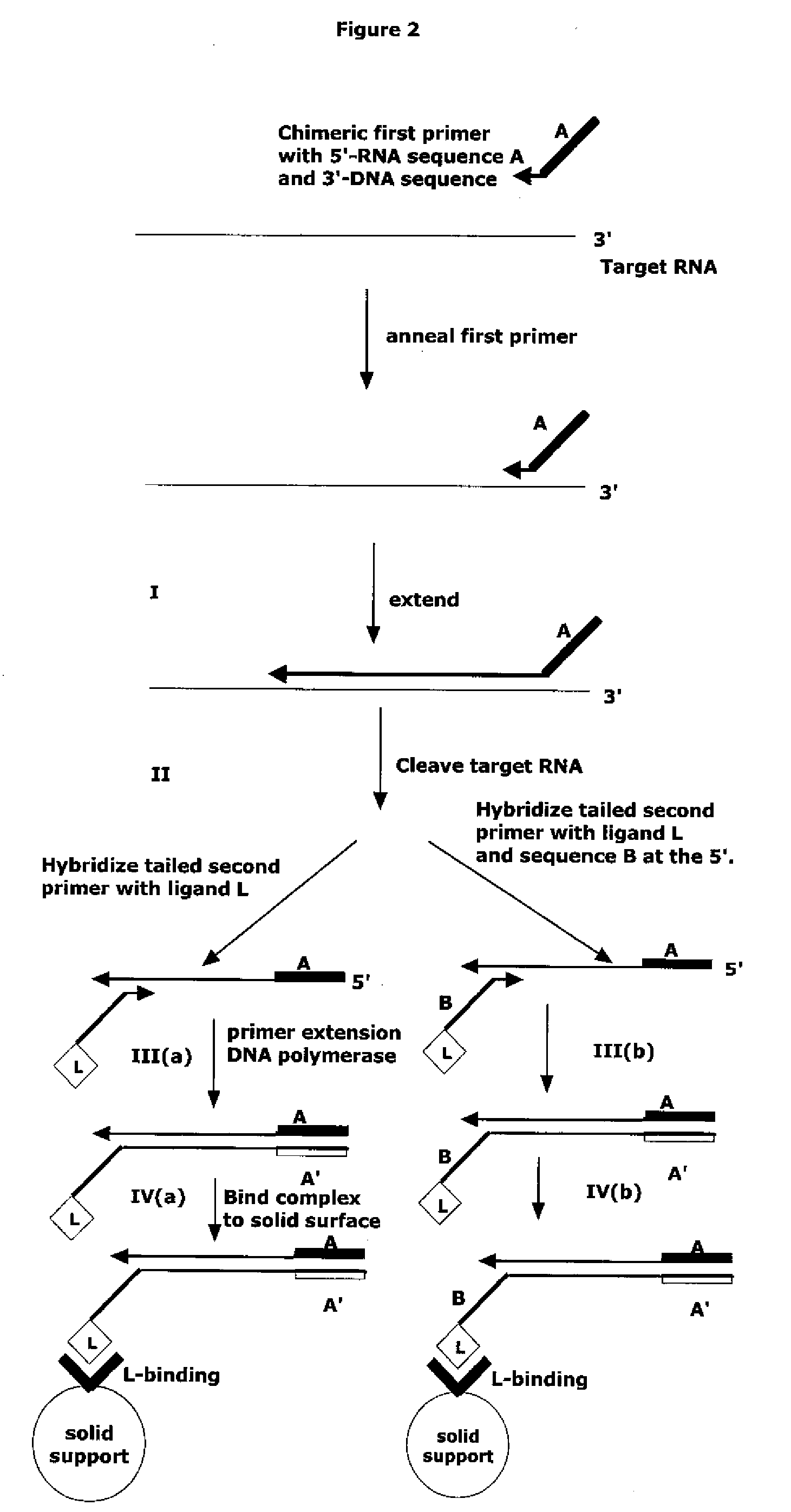 Method for Archiving and Clonal Expansion