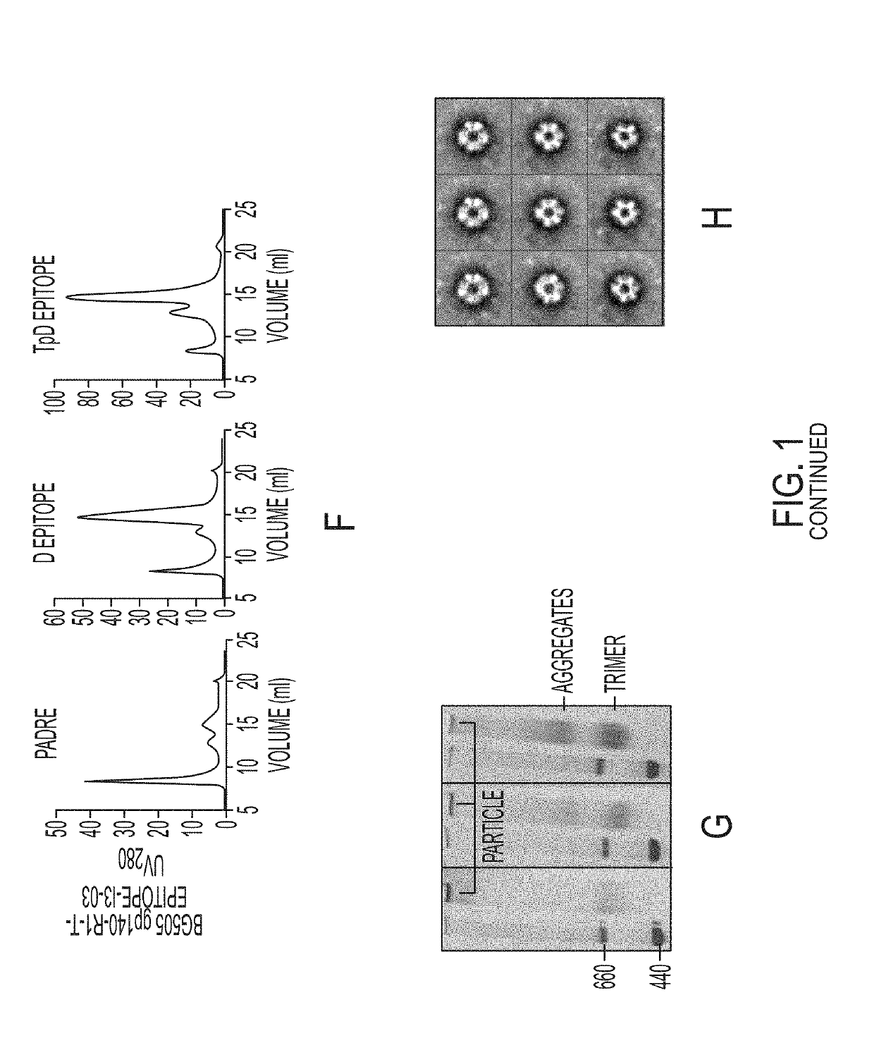 Novel Scaffolded HIV-1 Vaccine Immunogens