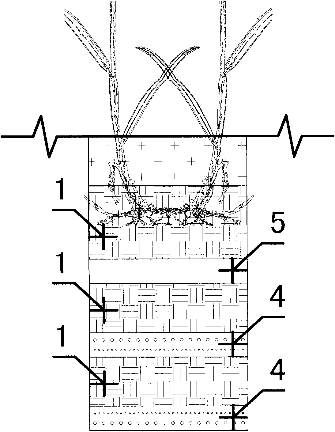 Method of artificial construction of root holes in wetland