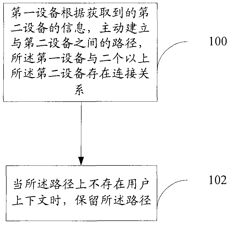 Method, device and system for managing path in system architecture evolution architecture