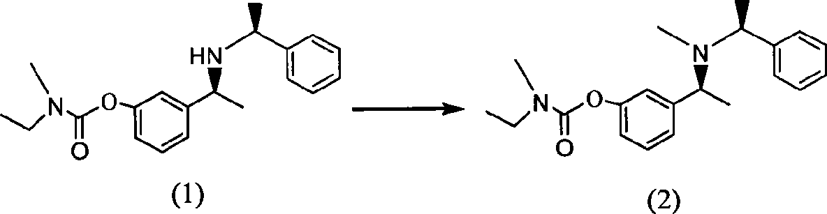 Novel rivastigmine preparation