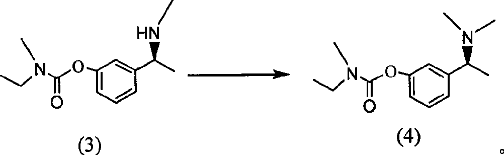 Novel rivastigmine preparation