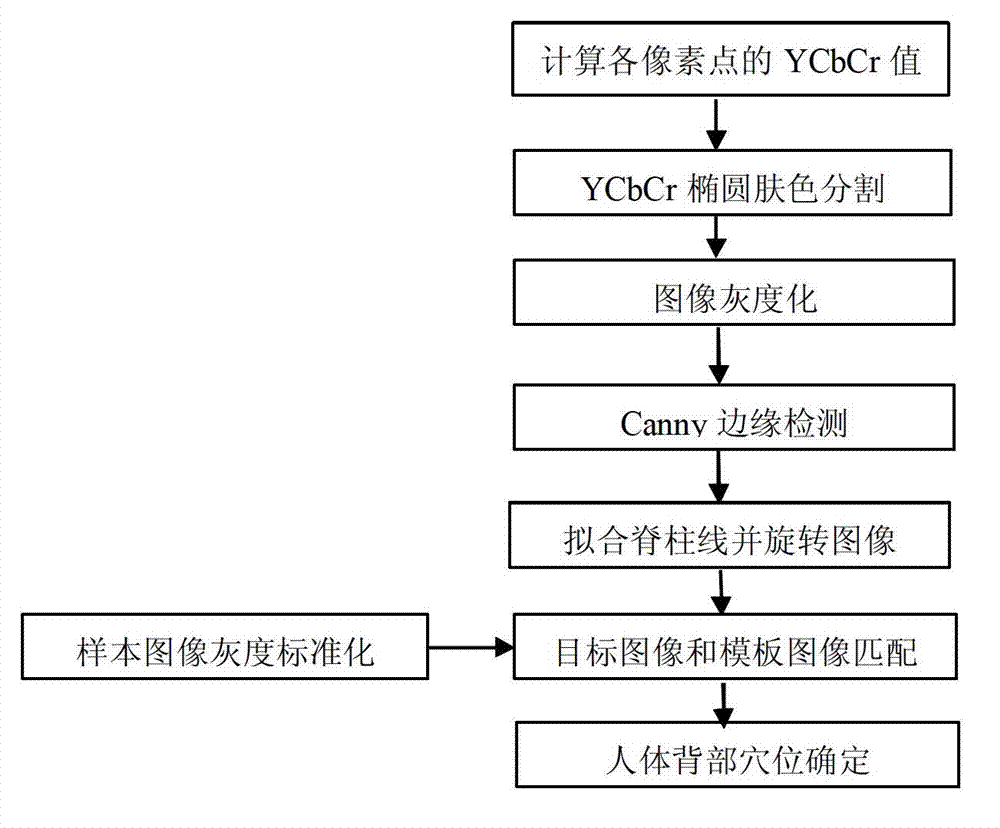 Method for automatically positioning acupuncture points on back of human body