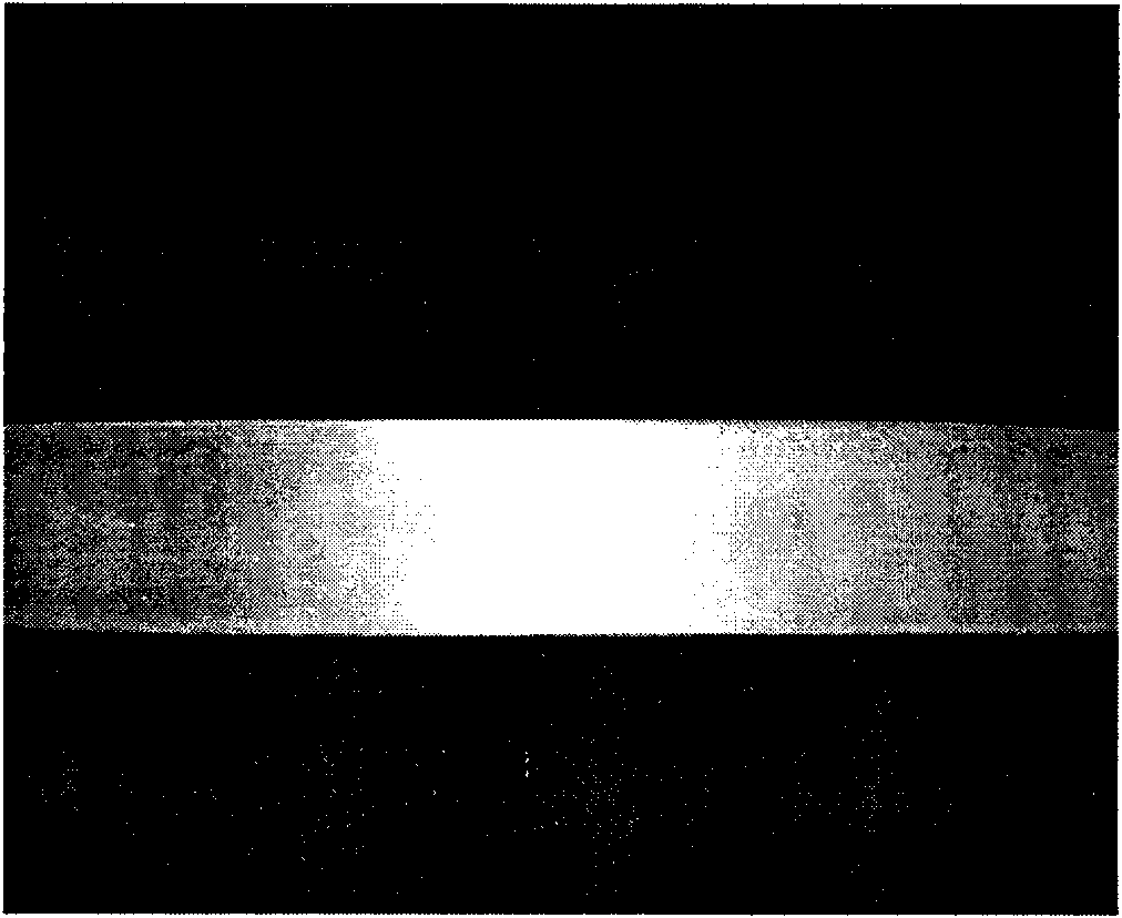 AlMgSi alloy sheet and preparation method thereof