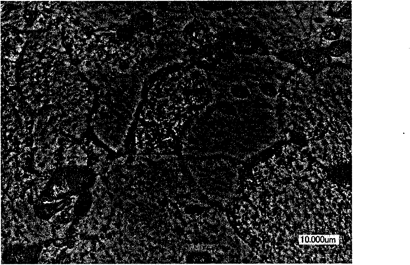 AlMgSi alloy sheet and preparation method thereof