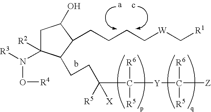 Compositions and methods for treating hair loss using oximyl and hydroxylamino prostaglandins