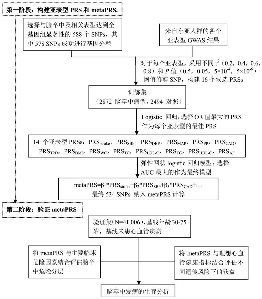 Construction method and device for cerebral apoplexy multi-gene genetic risk comprehensive score (metaPRS) and application