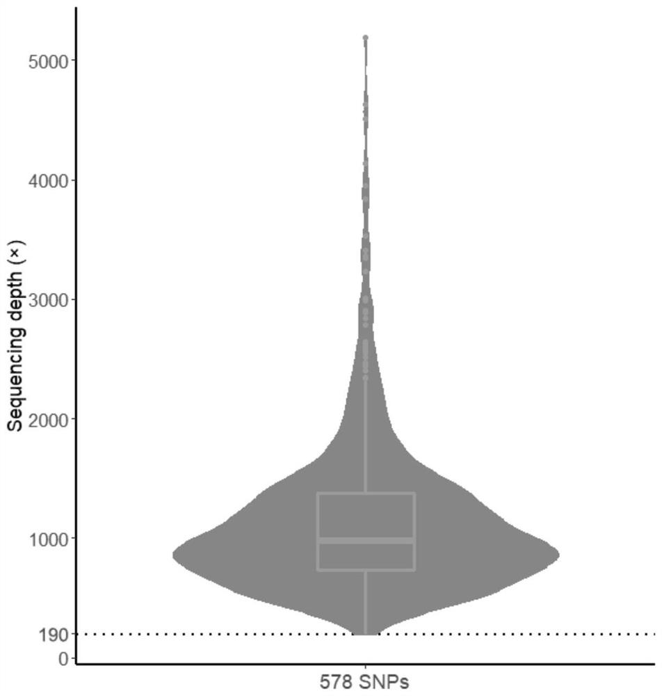 Construction method and device for cerebral apoplexy multi-gene genetic risk comprehensive score (metaPRS) and application