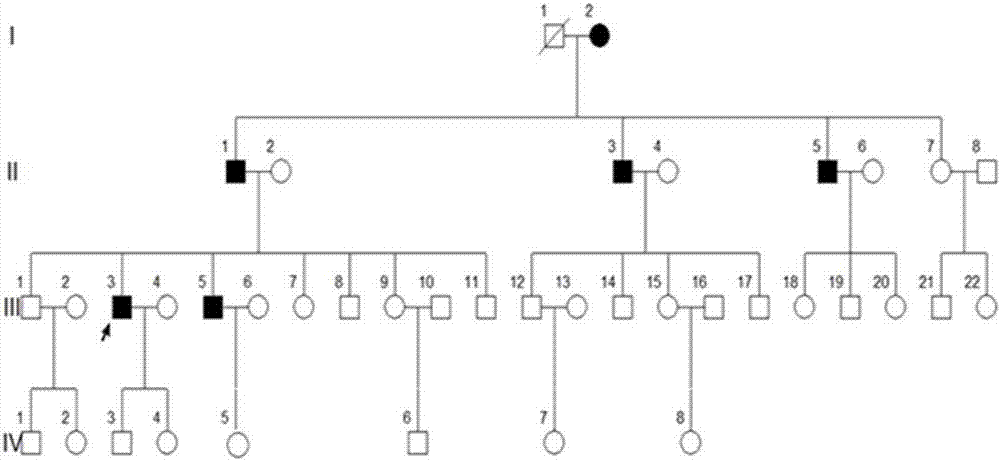 Serum protein marker group for diagnosis of type 1 and type 2 diabetes mellitus