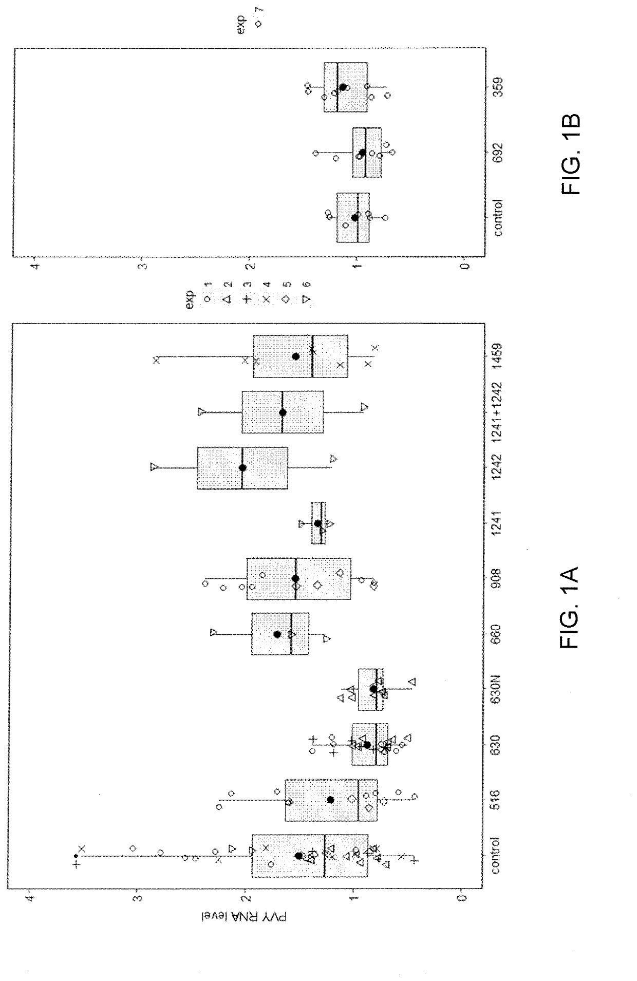 Potyvirus resistance genes and methods of use