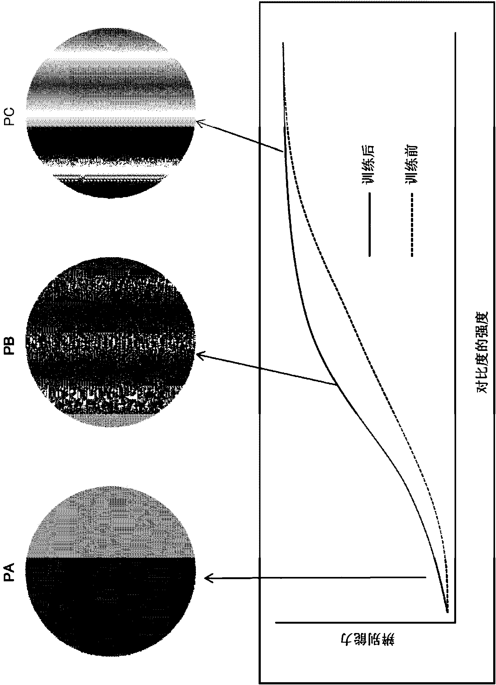 Brain function promotion support device and brain function promotion support method