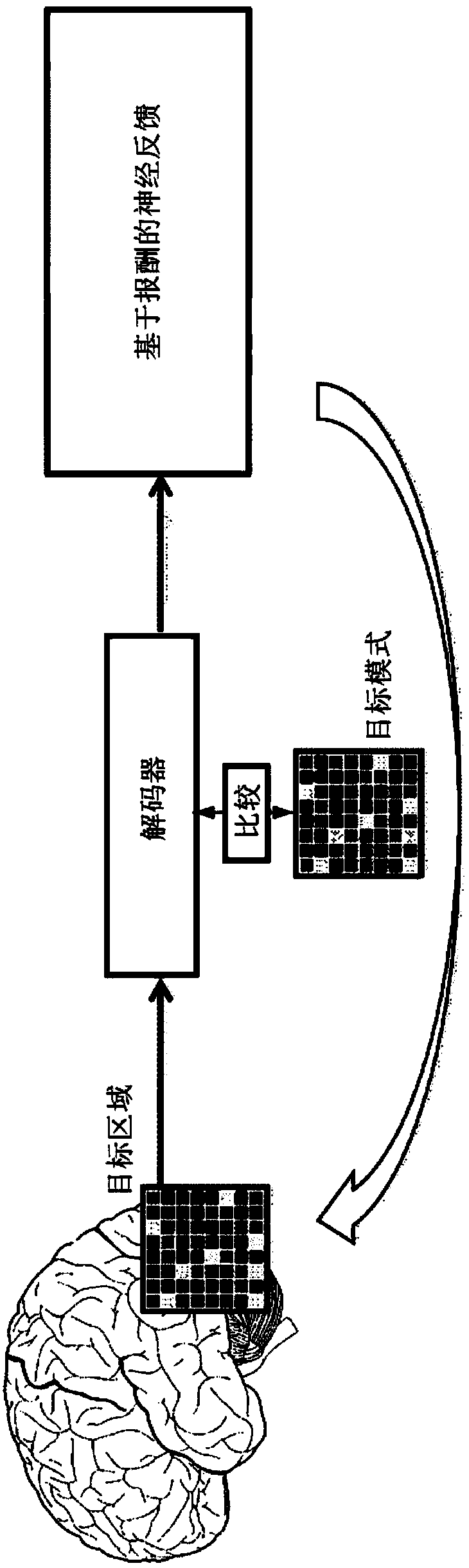 Brain function promotion support device and brain function promotion support method