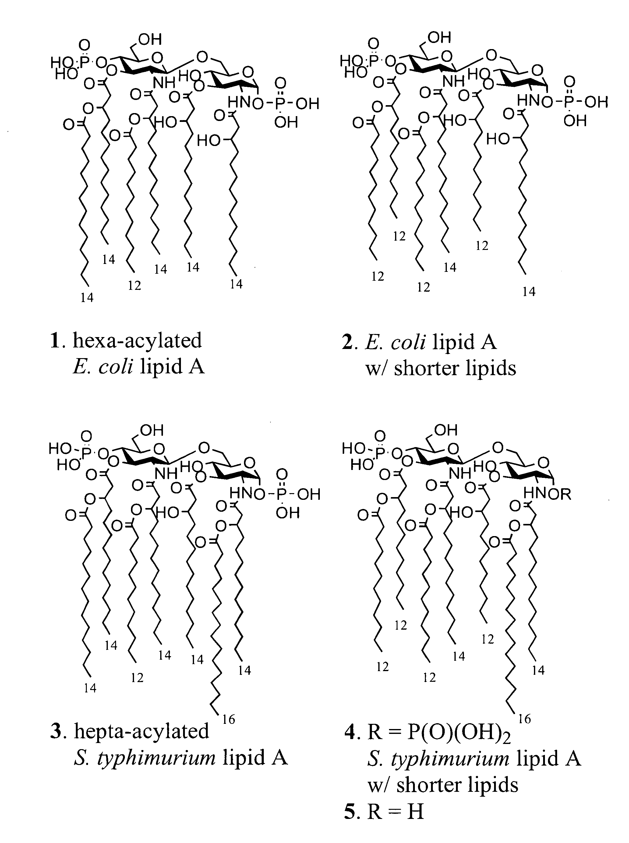 Synthetic lipid a derivative